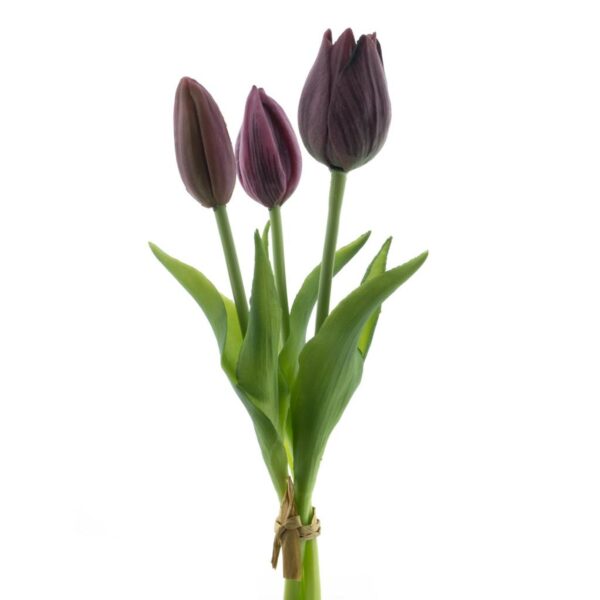 2026/01/1000034330.jpg Real Touch Holland Tulip bundle Sally x3 25cm